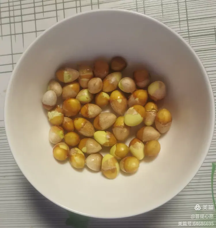 银杏树及银杏果的作用与功效